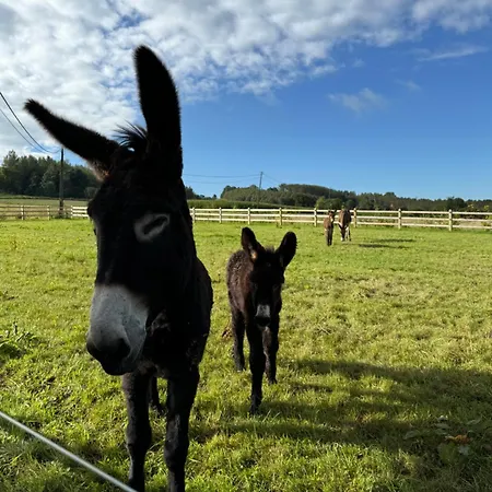 롯지 Origine Tiny House Frasnes-lez-Anvaing